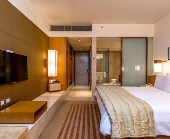 Hotel Plaza International Near Delhi Airport نيودلهي المظهر الخارجي الصورة